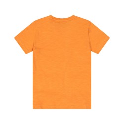 ☀️ T-SHIRT M/C.JERSEY MALFILE BAMBINO