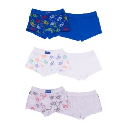 BOXER