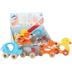 Display Animali colorati da...