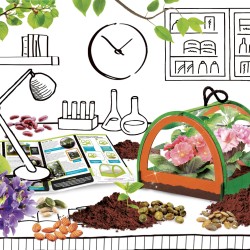 I'M A GENIUS SCIENZA POCKET LA MIA SERRA